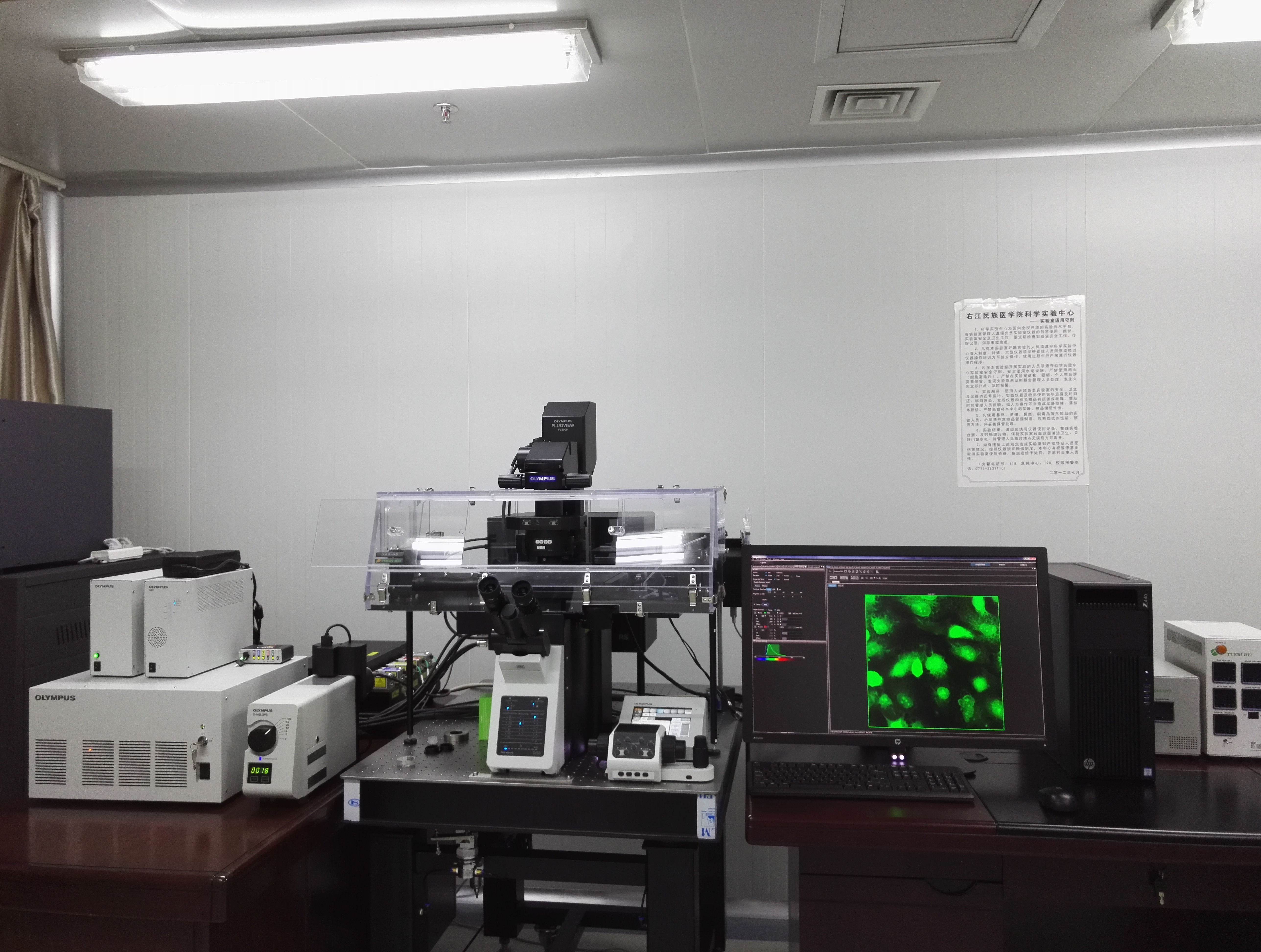 激光扫描共聚焦显微镜